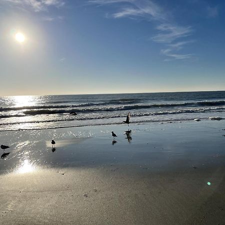 Blue Palmetto Vacation Rentals Myrtle Beach Bagian luar foto