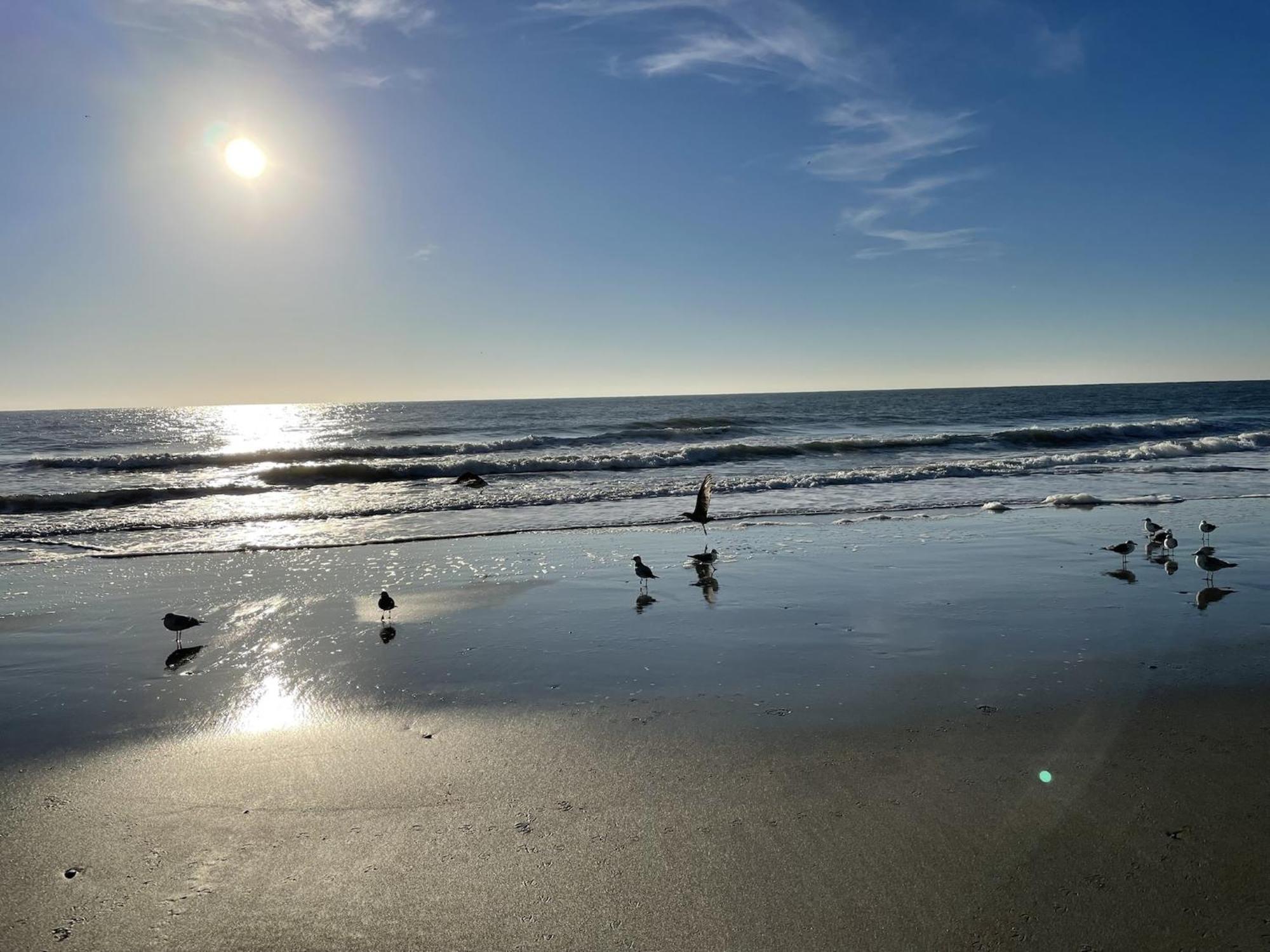 Blue Palmetto Vacation Rentals Myrtle Beach Bagian luar foto