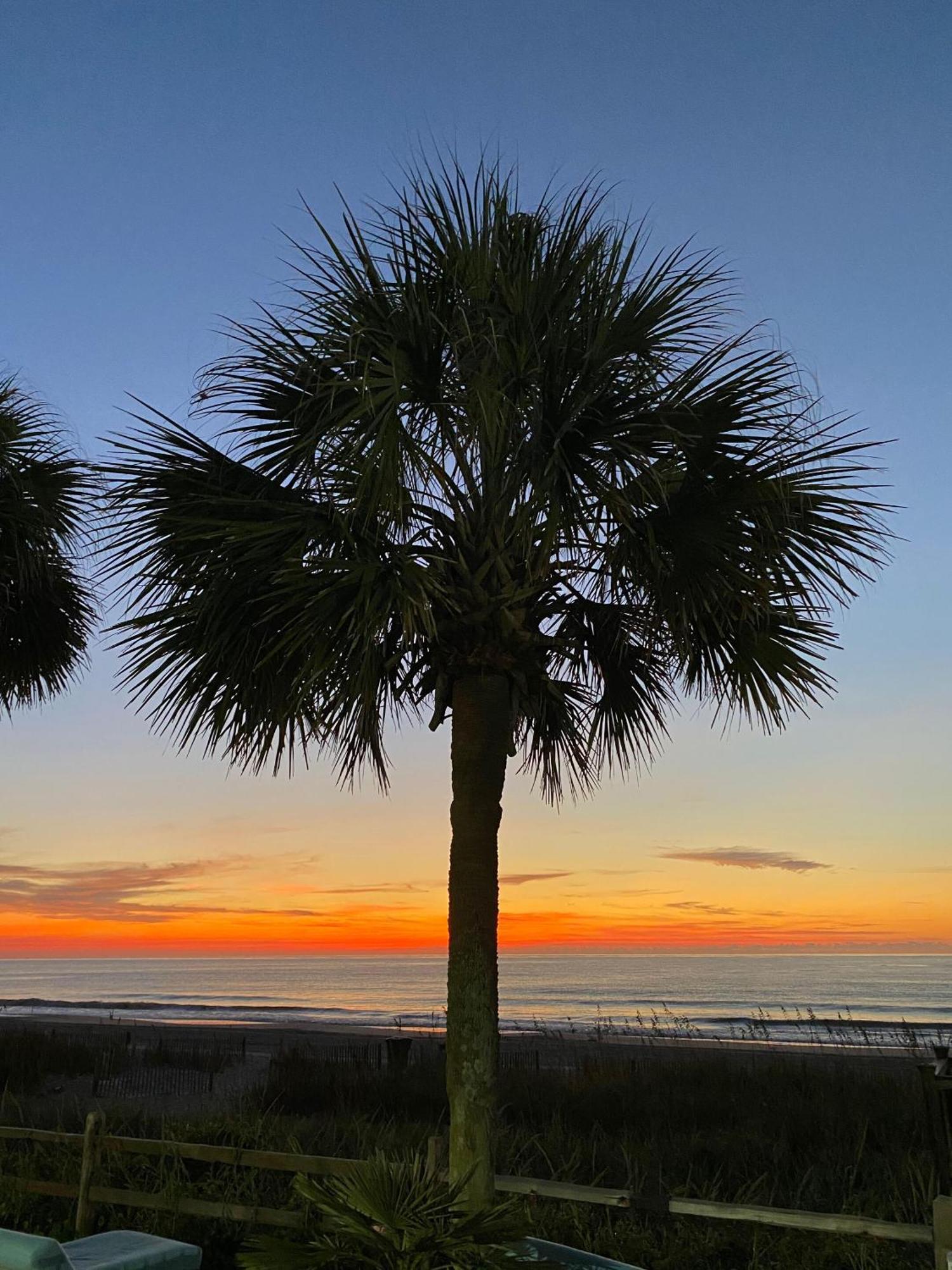 Blue Palmetto Vacation Rentals Myrtle Beach Bagian luar foto